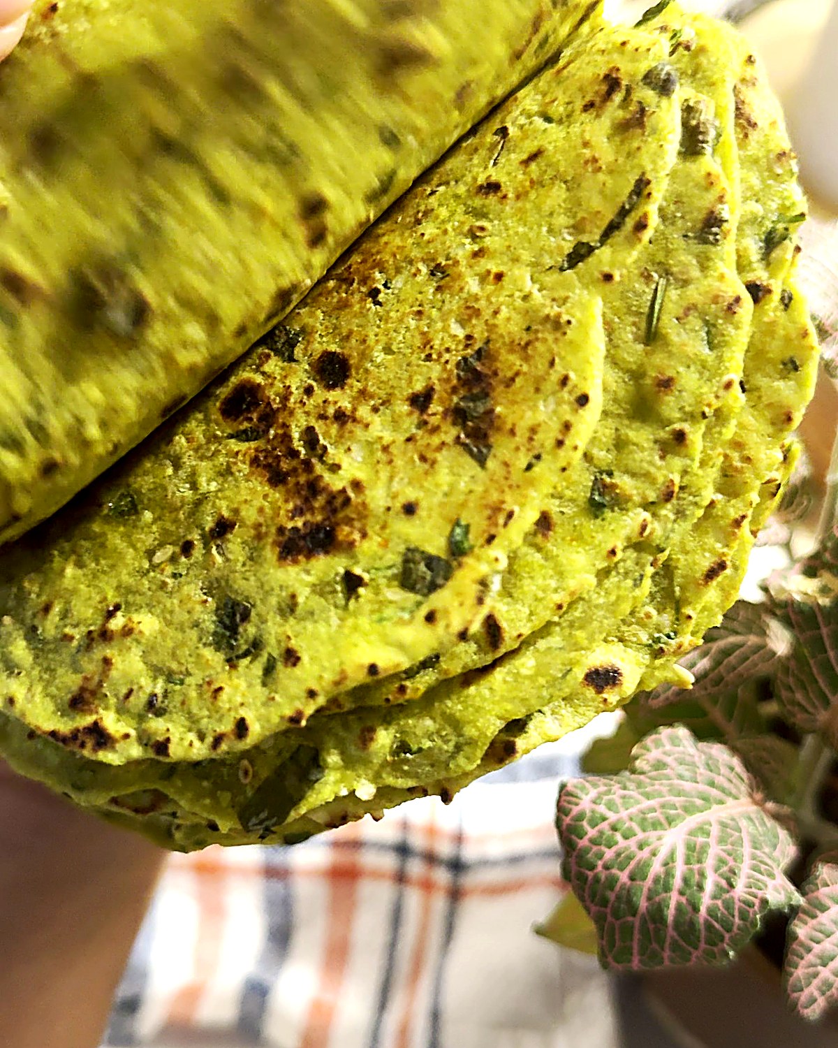 Stack of soft high protein methi theplas